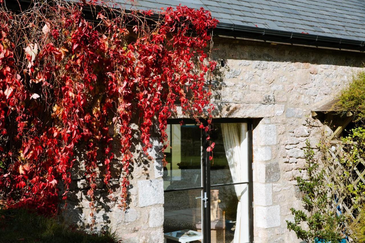 Higher Weddicott Barn Holiday Cottage - Self Catering Chagford Eksteriør billede